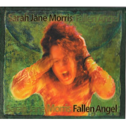 Sarah Jane Morris - Fallen Angel